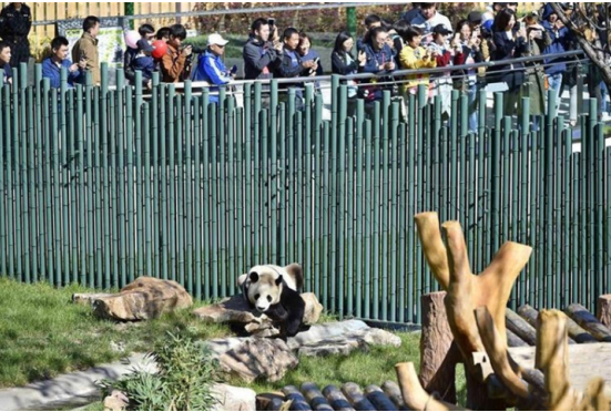 沈阳森林动物园 沈阳森林动物园