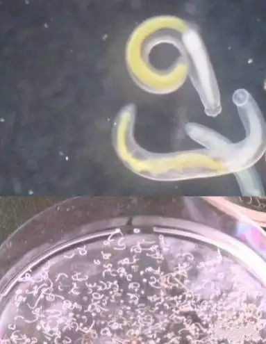 净水器租赁 净水器租赁