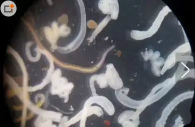 净水器租赁 净水器租赁