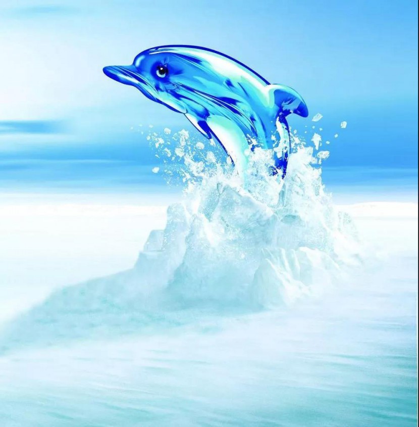 浩泽净水器 浩泽净水器